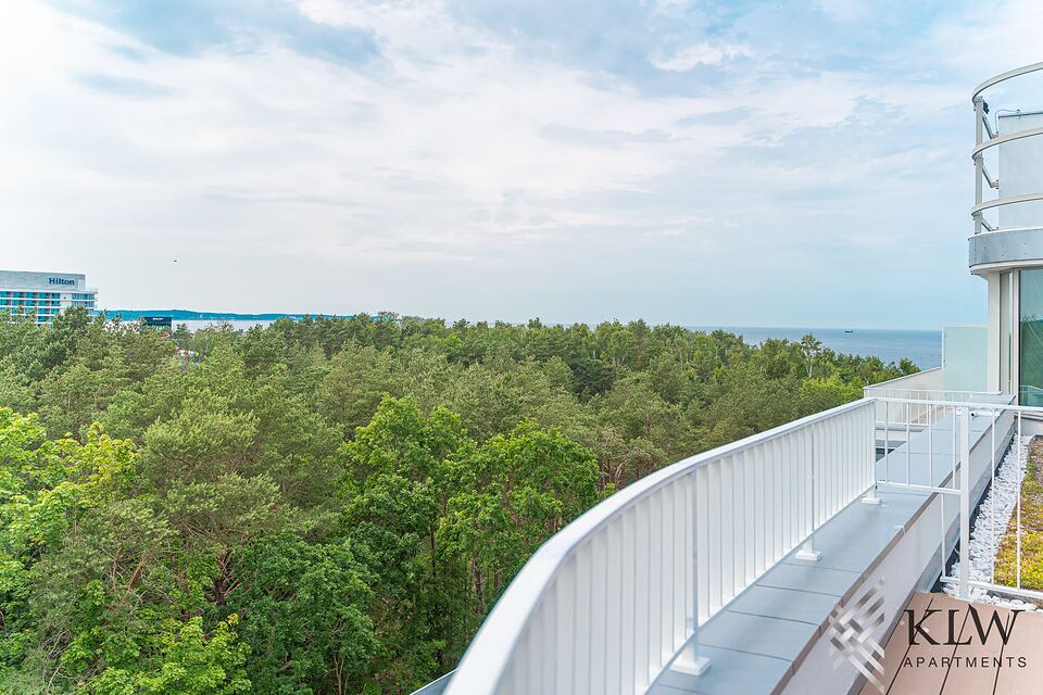 Okolica: panorama lasu z morzem na horyzoncie